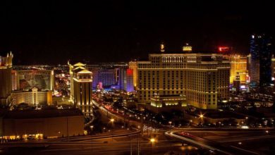 Photo of Køb hundeartikler på nettet ? stort udvalg og lave priser