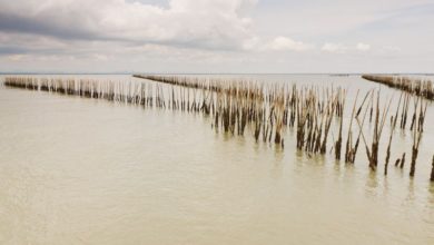 Photo of Hvor gør du af dit skrald?