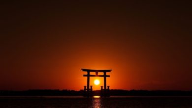 Photo of Kulinariske oplevelser med en lækker måltidskasse