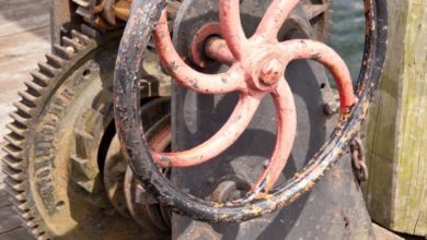 Photo of Gå frem som et godt eksempel for alle andre